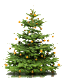 Einen (ungeschmückten) Weihnachtsbaum geschenkt!